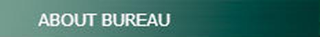 About the bureau
