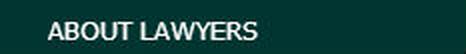 About the lawyers