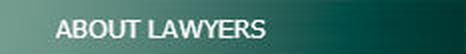 About the lawyers